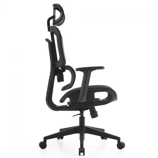 Dr. Office Business