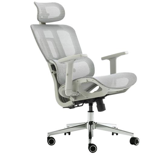 Dr. Office Business