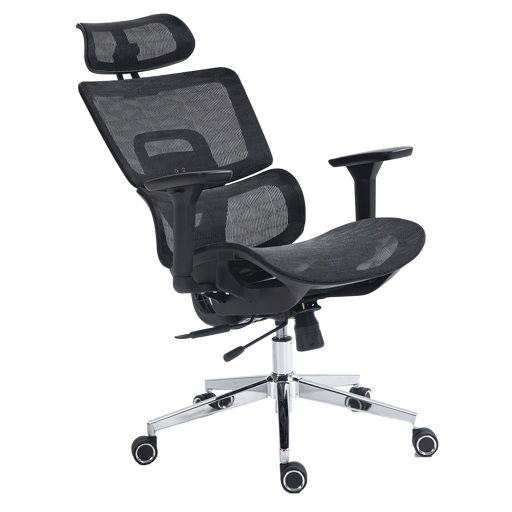 Dr. Office Business Pro