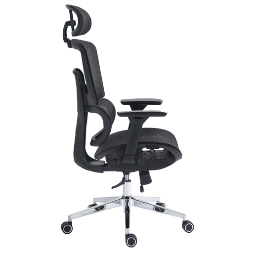 Dr. Office Business Pro