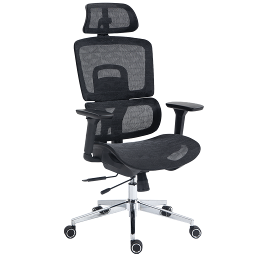 Dr. Office Business Pro