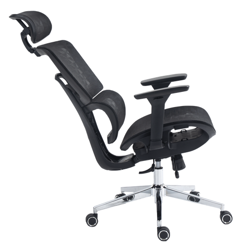Dr. Office Business Pro