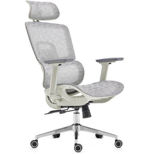 Dr. Office Business Pro