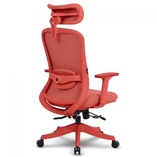 DT3 Atria Coral Red