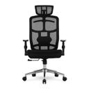 Cadeira DT3 Diana FE