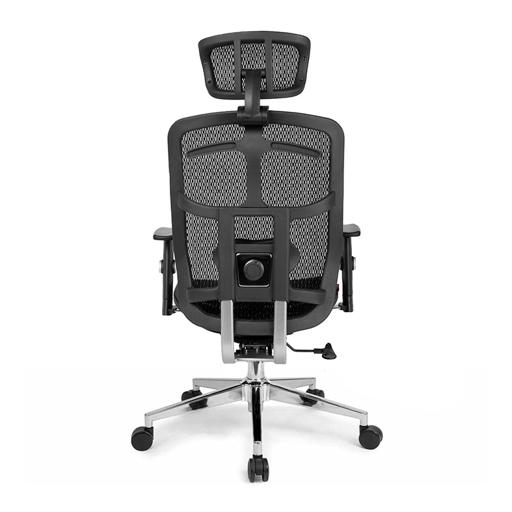 DT3 Diana V2