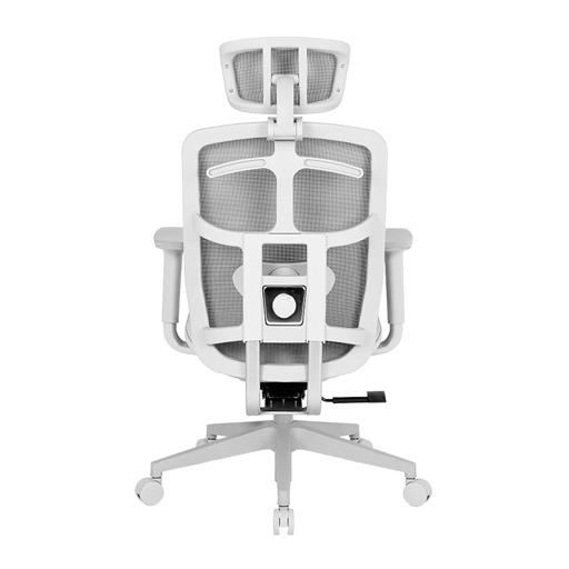 DT3 Diana V2