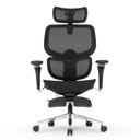 Cadeira DT3 Ergonomie FT