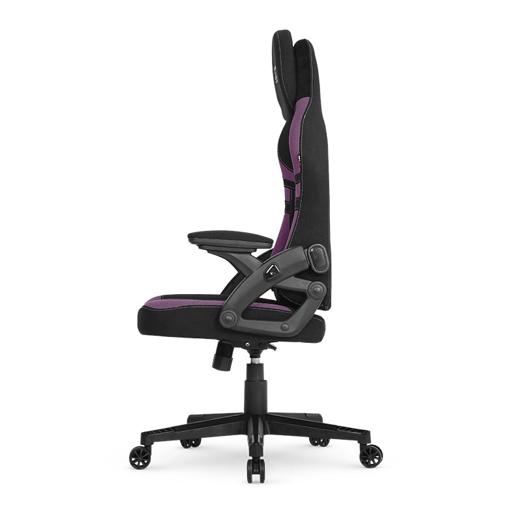 DT3 GX