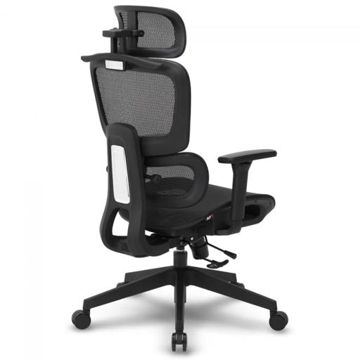 DT3 Valor XL