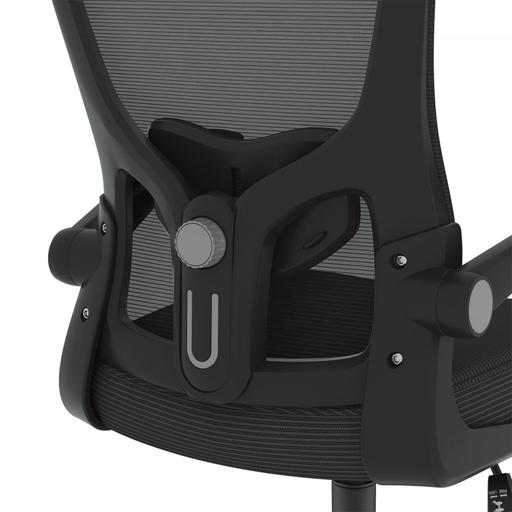 FlexiSpot OCB1-Lite