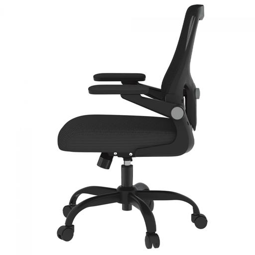 FlexiSpot OCB1-Lite