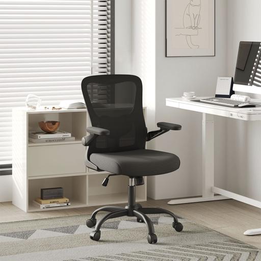 FlexiSpot OCB1-Lite