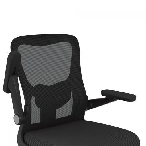 FlexiSpot OCB1-Lite