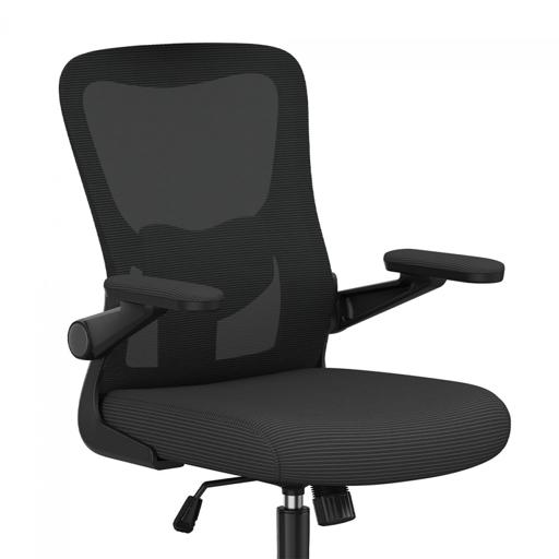 FlexiSpot OCB1-Lite