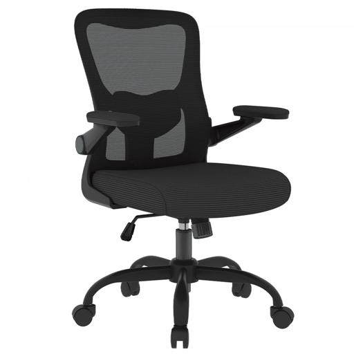 FlexiSpot OCB1-Lite