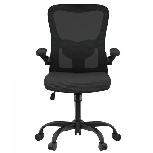FlexiSpot OCB1-Lite