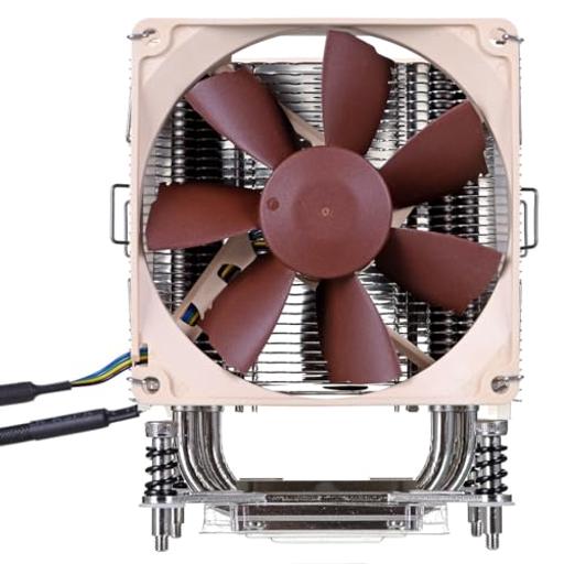 Noctua DX