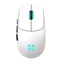 Mouse Fortrek Rogue PixArt 3311