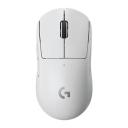Mouse