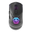 Mouse Marvo Z Fit Pro G1W