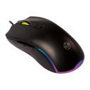 Mouse TGT GM50