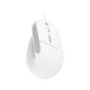 Mouse Trust  Bayo II