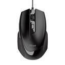 Mouse Trust  Voca