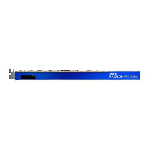 AMD Radeon PRO W6600 8 GB Radeon Pro 