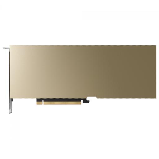 PNY L40S 48 GB Ada Lovelace