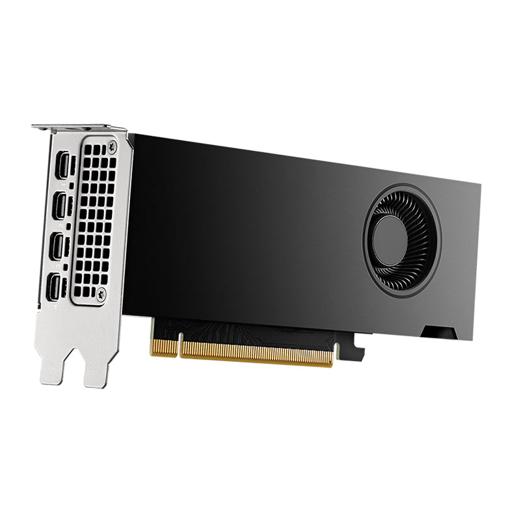 PNY RTX 2000 16 GB Ada Generation