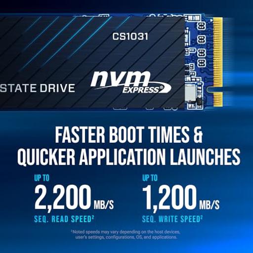 PNY CS 500 GB M.2-2280  PCIe 3.0 X4  NVME SSD