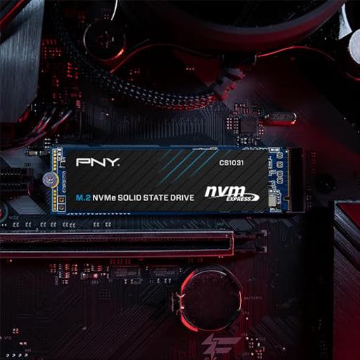 PNY CS 500 GB M.2-2280  PCIe 3.0 X4  NVME SSD
