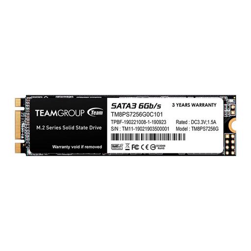 TeamGroup MS30 256 GB M.2-2280    SSD