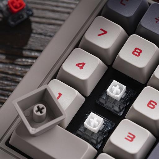 8BitDo Retro N Edition