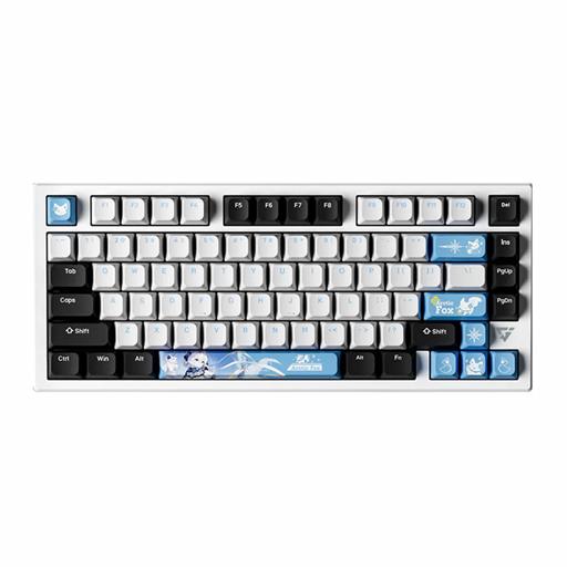 ATK Gear VXE V75X/K Arctic Fox Limited Edition