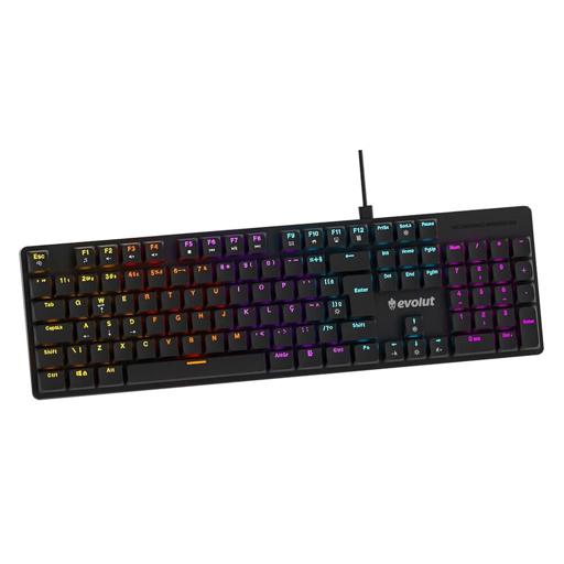 Evolut RYZ