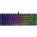 Teclado Fortrek Fearless 65 RGB