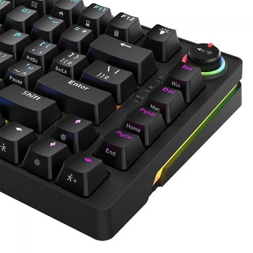 PCYes RASEC RGB