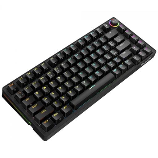 PCYes RASEC RGB