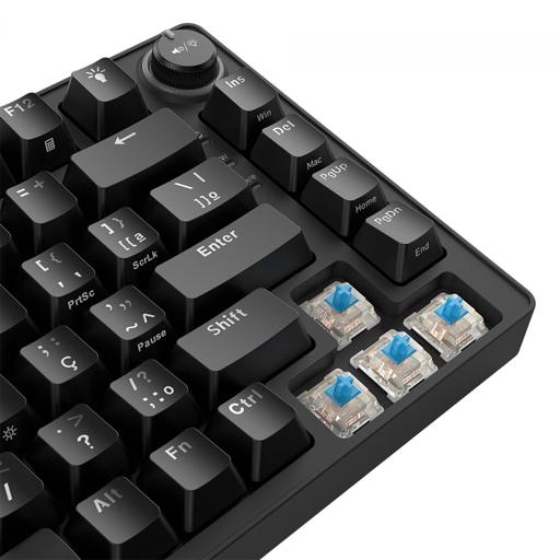 PCYes RASEC RGB