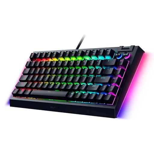 Razer BlackWindow V4 75%