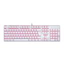 Teclado