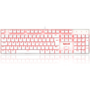 Teclado