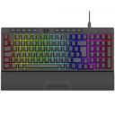 Teclado