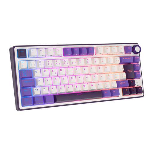Royal Kludge RKR75