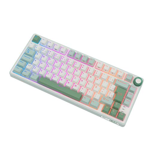 Royal Kludge RKR75