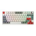 Teclado Skyloong GK75 RGB