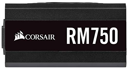Corsair RM750 750 W Certificado 80+ Gold Full-Modular ATX12V / EPS12V