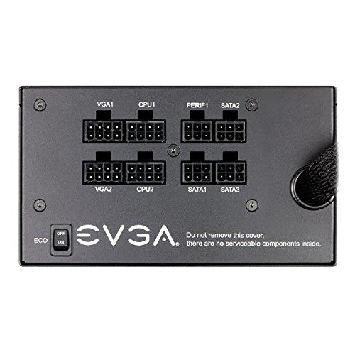 EVGA 210-GQ-0650-V1 650 W Certificado 80+ Gold Full-Modular ATX12V / EPS12V
